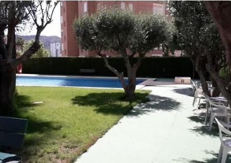 Olivia Resort Marbella 베니돔 외부 사진