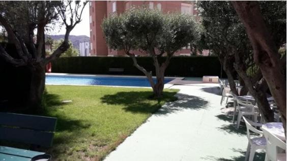 Olivia Resort Marbella 베니돔 외부 사진